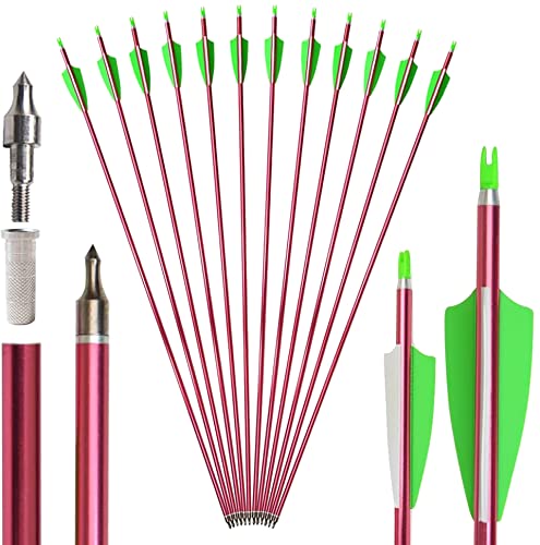 SHARROW 12Pcs Archery Aluminum Arrows, 32 Inch, Red, Spine 500, Adult Hunting Arrows with Plastic Feathers for Compound Bow, Recurve Bow, Longbow