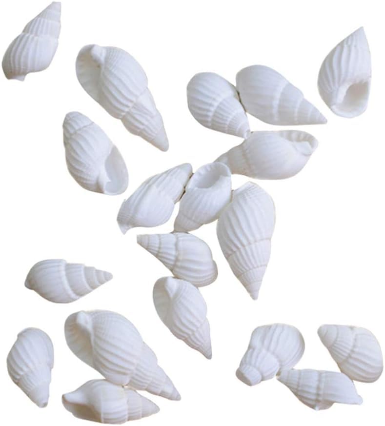 FAVOMOTO 100pcs 1-1.5cm Sea Shells for Crafts White Resin Shells for Crafting Sea Shells Large Necklace Seashell Necklaces Fish Tank Decorations