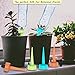 THEKBS Self Watering Spikes, Plant Watering Devices, Automatic Plant Waterer with Slow Release Control Valve Switch for Plants or Vegetables (6)