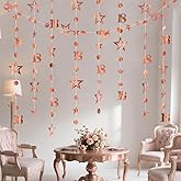 Rose Gold 18th Birthday Garland Rose Gold 18 Circle Dot Twinkle Star Streamer Happy Birthday Hanging Bunting Banner Backdrop for Girls Time to Adult 18 Years Old Party Decorations 30 Feet