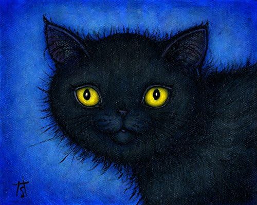 Black Exotic Shorthair Cat art original oil painting by Heidi Shaulis. Susu