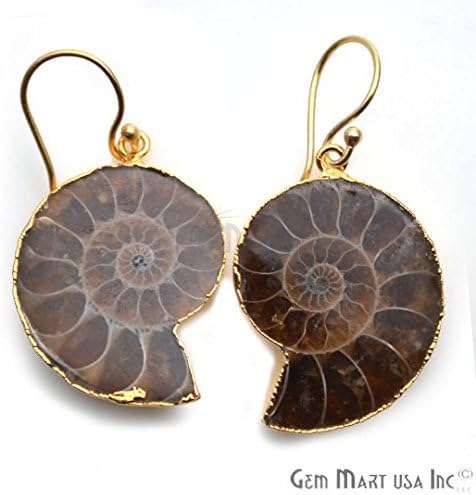 Ammonite Dangle Earring, Gold Earring, Hook Earrings, Gemstone Earrings, Dangle Earring, Earring GemMartUSA (ANER-90034)