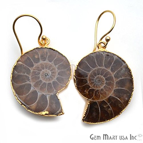 Ammonite Dangle Earring, Gold Earring, Hook Earrings, Gemstone Earrings, Dangle Earring, Earring GemMartUSA (ANER-90034)