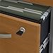 Bush Business Furniture Series C 2 Drawer Rolling File Cabinet in Hansen Cherry - Assembled, Mobile Document Storage for Home or Professional Office