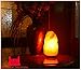 Windsor Seasons Hand Crafted Natural Large 9-Inch Crystal Himalayan Salt Lamp with Neem Wood Base, 6-Feet Cord, Dimmer Switch and Bulb