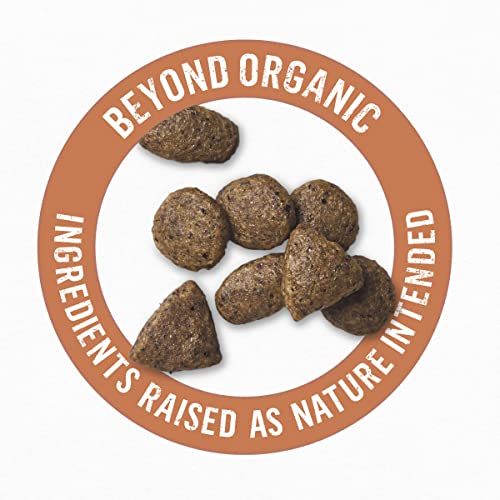 Beyond Purina High Protein Adult Dry Dog Food, Organic Chicken, Egg