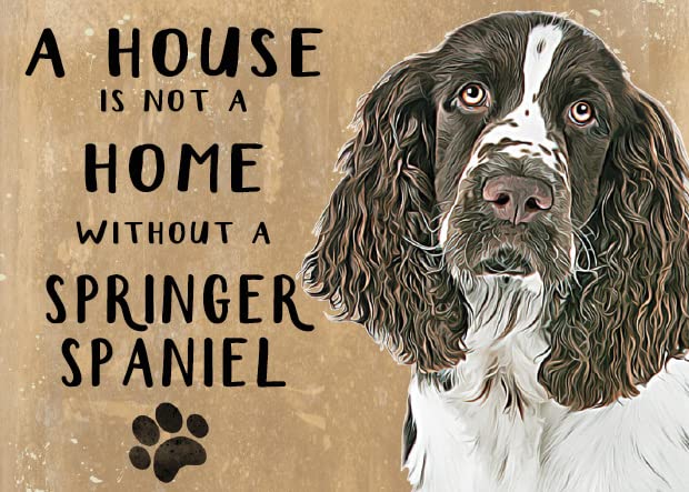 Small (150 x 200mm) Metal Sign - A House is Not a Home - Springer Spaniel, Brown and White