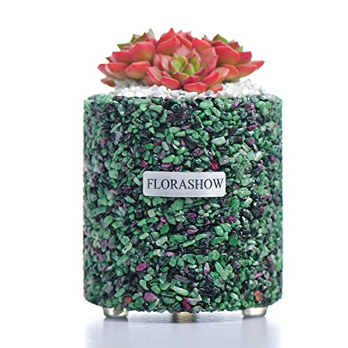 FLORASHOW Succulent Pots, Ruby&Epidote Materials Mini 3.26 inch Succulent Plant Pots, Ultra-Breathable, water-