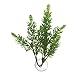 Zoo Med Laboratories AZMBP23 Betta Plant Salvia
