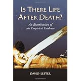 Is There Life After Death? An Examination of the Empirical Evidence