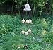 Homedeco Inspirational Amazing Grace Wind Chime Outdoor Living Yard Garden Bells Home Decor Wind-Noisemakers