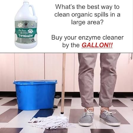 bubba's pet stain and odor remover