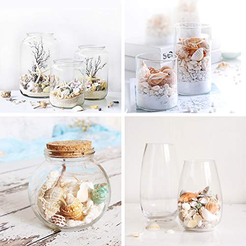 5 700+800+Crafts+Seashells+Decoration+Wedding