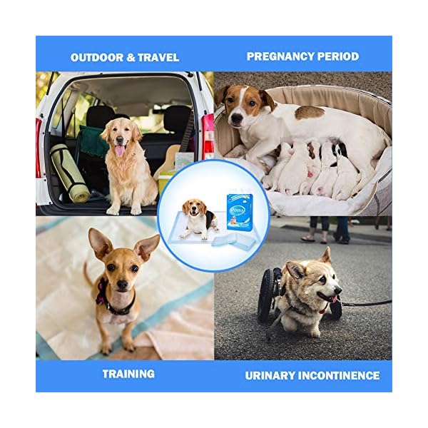 Dono-Pet-Training-Pee-Incontinence-Pad-Puppy-House-Training-Pads-Mats-for-Younger-Pets-Adult-Pets-60-90cm-Highly-Absorbent-Leakproof-1-bag Dono Pet Training Pee Incontinence Pad Puppy House Training Pads Mats for Younger Pets, Adult Pets 60 * 90cm Highly…