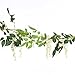 Felice Arts 4 Pcs Artificial Flowers 6.6ft/Piece Silk Wisteria Ivy Vine Green Leaf Hanging Vine Garland for Wedding Party Home Garden Wall Decoration, Cream