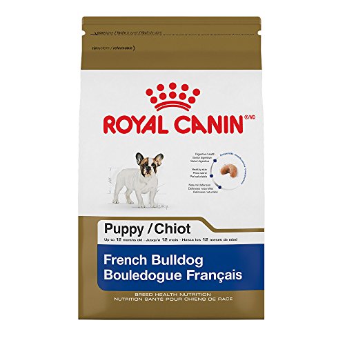 Royal Canin 111103 Breed Health Nutrition French Bulldog Puppy Dry Dog
