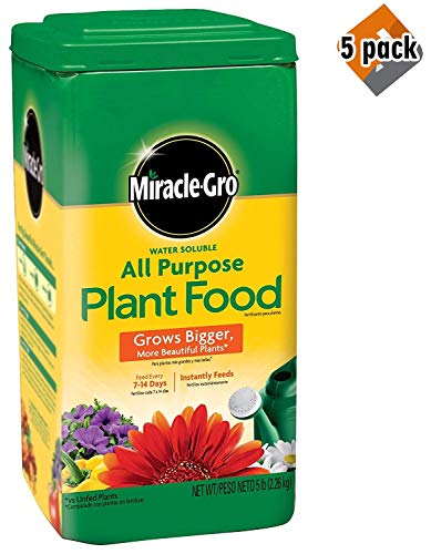 Miracle-Gro 1001233 All Purpose Plant Food - 5 Pound, 5 Pack
