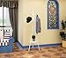 Coat Rack Hat Stand Free Standing Display Hall Tree Metal Hat Hanger Garment Storage Holder with 9 Hooks for Clothes Hats and Scarves in Black,17.72