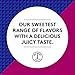 MATI Plant-Powered Sparkling Organic Energy Drink, Blueberry Pomegranate, 90 Calorie, 12 Fl Oz, Pack of 12