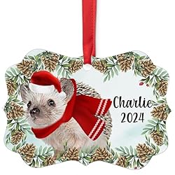 African Pygmy Hedgehog Christmas Ornament 2024