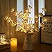 Fine Phalaenopsis Tree Branch Lights - Led Branches Battery Powered Decorative Lights Tall Vase Filler Willow Twig Lighted Branch for Home Party Garden Decoration (White)