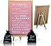 Pink Felt Letter Board With Easel Stand 12 x 18 | 718 Changeable Characters Including 1 inch and ¾ Letters, Symbols, Emojis Hashtag And More | Great For Instagram | Hook To Hang | 2 Storage Pouches