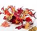 CraftMore Autumn 70 Inch Garland - 2 Pack