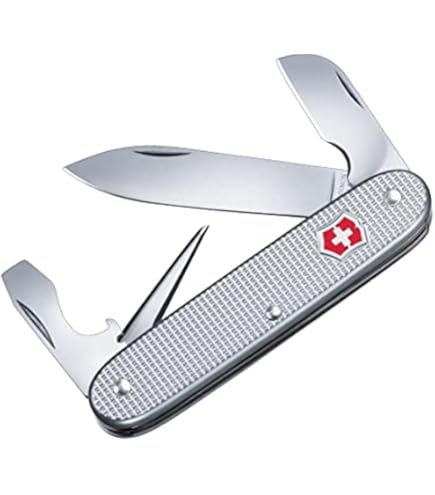 Amazon.com: Victorinox 2-1/2-Inch Folding Blade Knife, Red Alox