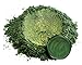 Eye Candy Pigments Premium Green Mica Powder - Bonsai Green (50gr) - for Epoxy, Resin, Soap, Paint, Woodworking, Acrylic Pouring, Bath Bombs, Fishing Lures - DIY Arts and Crafts Additive