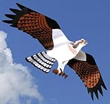Osprey Jackites Tyvek Bird