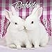 Rabbit Calendar - Cute Animal Calendar - Calendars 2018 - 2019 Wall Calendars - Animal Calendar - Ra by 