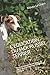 L'EDUCATION DU JACK RUSSEL TERRIER: Toutes les astuces pour un Jack Russel Terrier bien éduqué (Fr by 