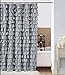 spring Home Waterfall Silver Ruffled Shower Curtain Size 72 x 72 inch