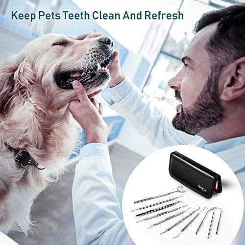 Dental Tools, Terresa 9 Pack Dental Pick Stainless Steel Dental Scaler