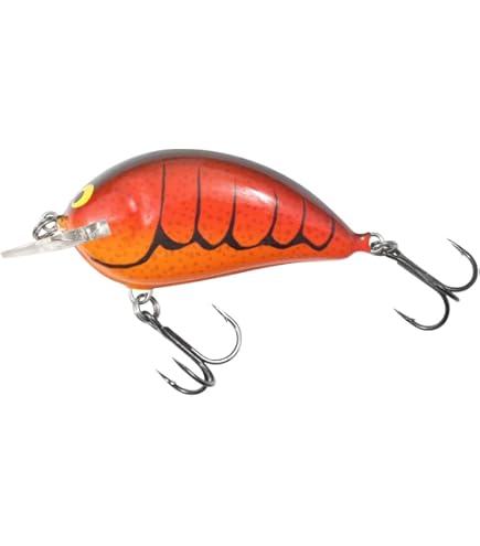 Amazon.com : Bagley Bang O Lure Genuine Balsa Wood Classic