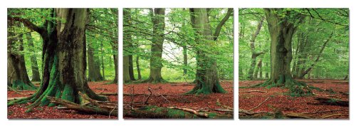 Far Away Forest 60 X 20 Inches Ready To Hang Contemporary Art Modern Wall Decor 3 Panel Wood Mounted Giclee Canvas Print A1014l Buy Online In Botswana At Botswana Desertcart Com Productid 15154633