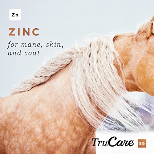 TruCare EQ TopDress Trace Mineral Blend for Horses (Methionine, Lysine, Zinc, Manganese, Copper