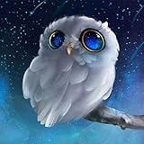Staron 5D Diamond Painting, Home Decor Owl DIY Diamond Rhinestone Pasted Painting by Number Needlework Cross Stitch Stamped Kit 5D Diamond Painting Embroidery Art Wall Decor (Starry Owl)