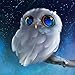 Staron 5D Diamond Painting, Home Decor Owl DIY Diamond Rhinestone Pasted Painting By Number Needlework Cross Stitch Stamped Kit 5D Diamond Painting Embroidery Art Wall Decor (Starry Owl)