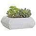 7 Inch Square Cement Succulent Plant Pot Rustic Cactus Planter Decorative Bowl, Off-White