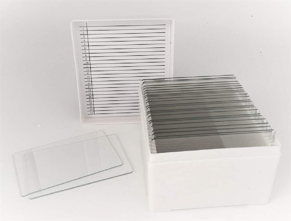 Large 3" x 2" Glass Microscope Slides in Storage Case, 25 Count Industrial & Scientific