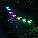 OxyLED Solar Garden Lights, 3 Pack Solar Stake Light Hummingbird Butterfly Dragonfly, Solar Powered Pathway Lights, Multi-Color Changing LED Lights, Outdoor Lighting for Garden/Patio/Lawn