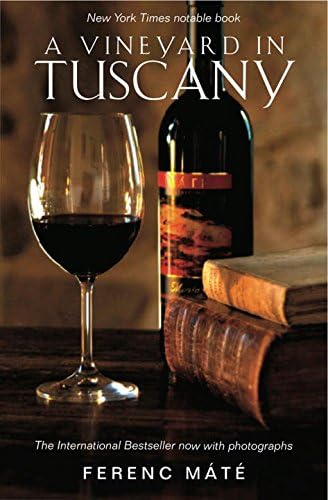 A Vineyard in Tuscany: A Wine Lover's Dream