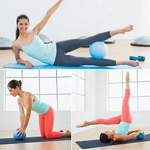 Mini Yoga Pilates Ball 10 Inch for Stability Exercise Training Gym Anti Burst and Slip Resistant Balls with Inflatable Straw Purple