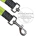 HARBO Handsfree Running Dog Leash - Durable Bungee Leash, Reflective Stitching - Shock Absorbing Adjustable Waist Belt, for Running, Jogging, Walking (Green)