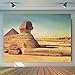MEETSIOY 7x5ft World Famous Architecture Backdrop Egyptian Sphinx Background Photo Booth Studio Props Theme Party Backdrop MT415