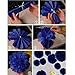 10pcs Royal Blue Tissue Hanging Paper Pom-poms, Hmxpls Flower Ball Wedding Party Outdoor Decoration Premium Tissue Paper Pom Pom Flowers Craft Kit, 10 Inch