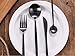 Jinsen Stainless Steel Flatware Set for Home Kitchen Restaurant Hotel (Matt Black)