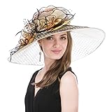 SAFERIN Women's Organza Church Kentucky Derby Fascinator Bridal Tea Party Wedding Hat (GZ-Wide Brim Champagne Dot)