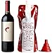 Take a Wine - Unique gift Ideas! Flexible Unbreakable Wine Bottle, Durable Travel Wine Bag For Camping, Hiking, Beach & Picnic. With Silicone Funnel! Gifts For Christmas, Mom, Dad, Wine Lovers! (Red)